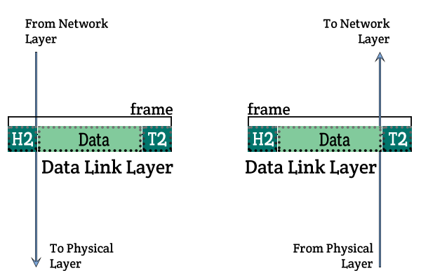 data link layer process